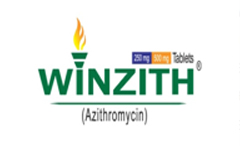 Winzith logo
