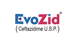 Evozid logo