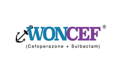 Woncef logo